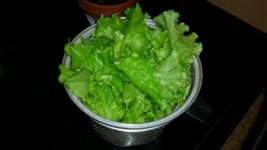 20140615_112514_20140615_113516.jpg