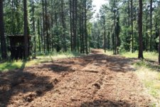 food plot 1.JPG