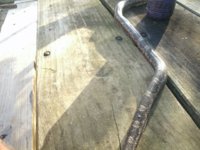 snake pictures 003.JPG