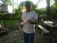 snake pictures 005.JPG