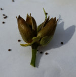 20140520_092616.jpg