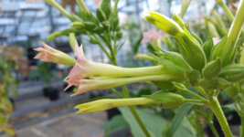 20140611_090337.jpg