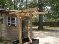 tobacco hangin 003.JPG