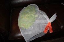 Prilep in sun bag.JPG