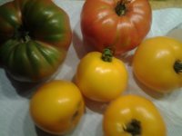 20140804 harvest6.jpg
