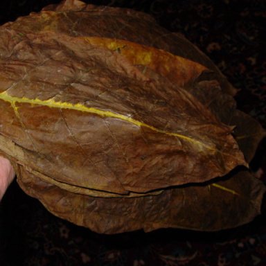 Leaf Storage Solution | Fair Trade Tobacco