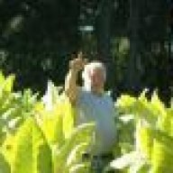 texas tobacco license search Texas Tobacco
