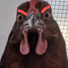 eekay