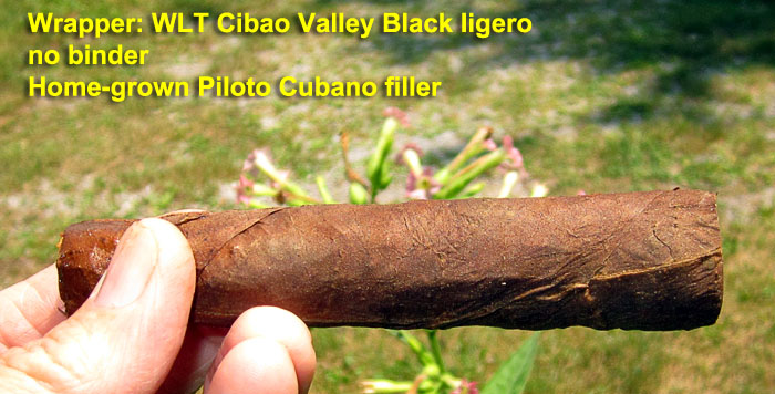 Garden20210728_5917_cigar_CVBlackLigero_700.jpg