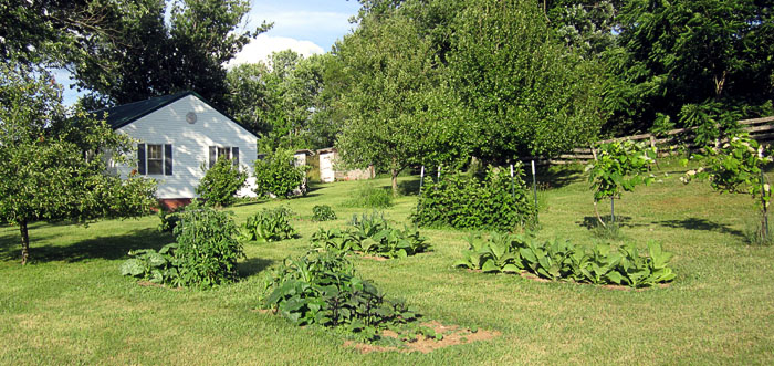 Garden20210622_5779_entireGarden_700.jpg