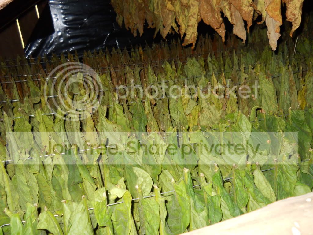 tobacco king wilkes barre SMo-King Glass & Tobacco - Wilkes Barre - Reviews, Photos & Phone Number -  Updated May 2026 - Tobacco Shops in Luzerne County, Pennsylvania (PA)