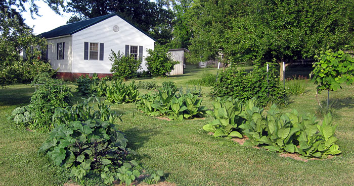 Garden20210628_5811_entireGarden_700.jpg