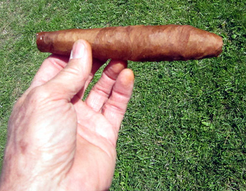 Garden20140424_1144_Habana2000_clown_cigar_500.jpg