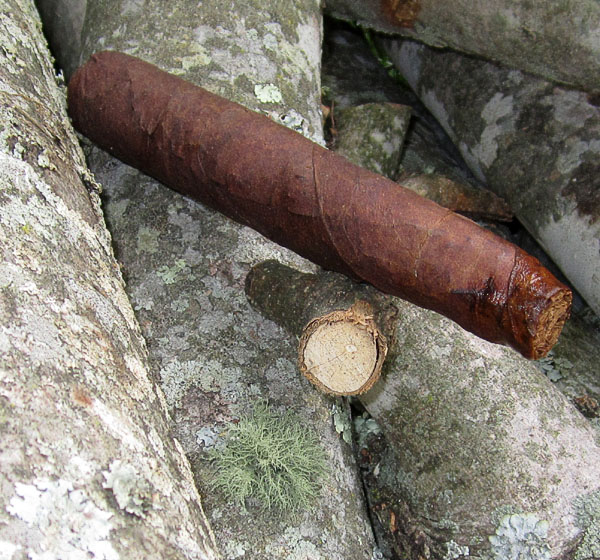 Garden20190523_4377_cigar_dark_600.jpg