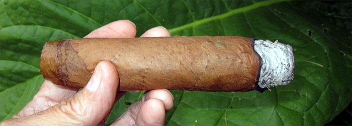 Garden20180901_3880_cigar_CTShade_VueltaAbajo_700.jpg