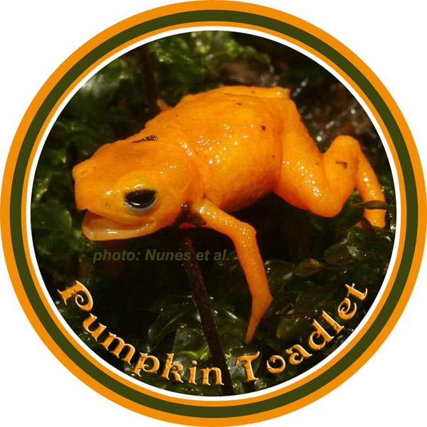 PumpkinToadlet_blendLabelBLANK_600_72dpi.jpg