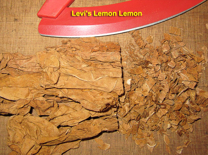 Garden20190114_4120_LevisLemonLemon_700.jpg