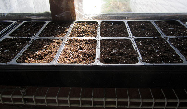 Garden20230306_6882_1020tray_withMix_600.jpg