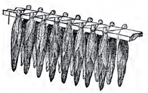 Killebrew_lath01.jpg