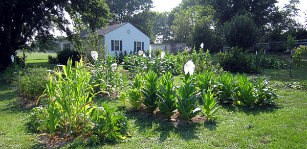 Garden20140805_1416_entireGarden_600.jpg