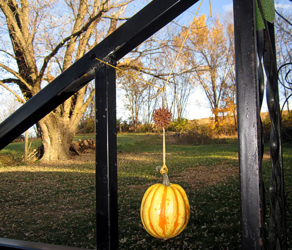 Garden20221029_6720_HalloweenDecorations_600.jpg