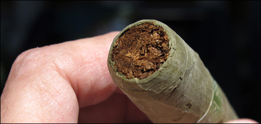 robustojoe.com