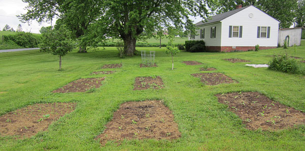 Garden20130518_623_lowerBeds_600.jpg
