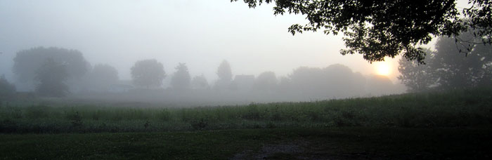 Garden20140805_1415_BlueRidgeSunrise_700.jpg