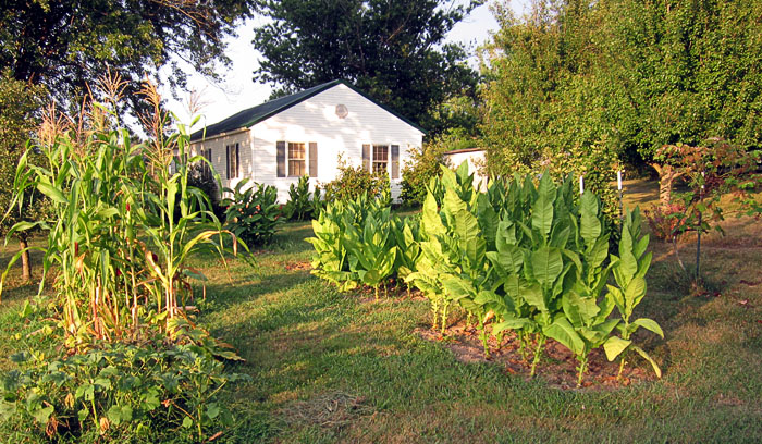 Garden20210807_5960_entireGarden_700.jpg