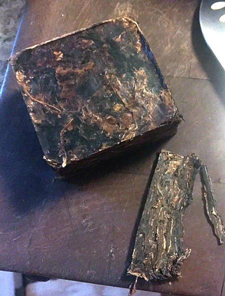 NavyFlake-ish.jpg