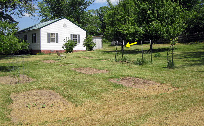 Garden20210521_5710_entireGarden_700.jpg