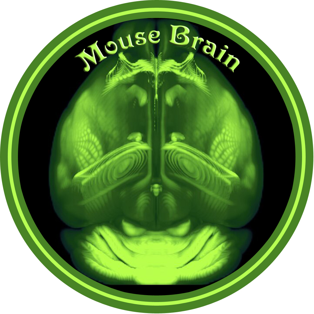 MouseBrain_blendLabelBLANK_3_5in_300dpi.jpg