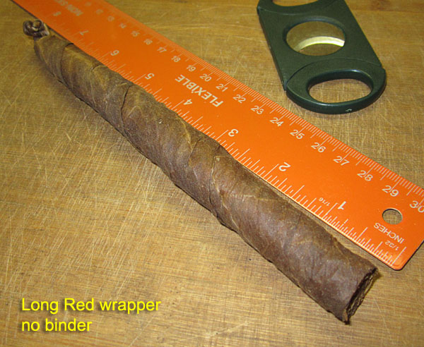 Garden20170921_3091_cigar_LongRed_600.jpg