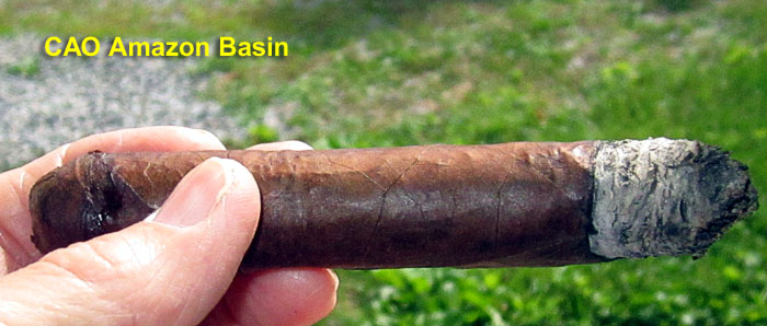 Garden20260608_7770_cigar_CAO_AmazonBasin_lit_700.jpg