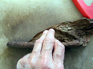 Garden20130922_981_stogie_singleWrapping_300.jpg