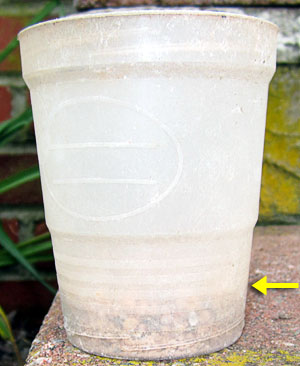 Garden20200518_5112_fertilizer_rainSolubility_before_300.jpg