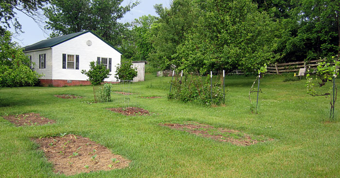 Garden20220522_6358_entireGarden_700.jpg