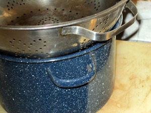Cavendish20120307_077_potAndCollander_300.jpg