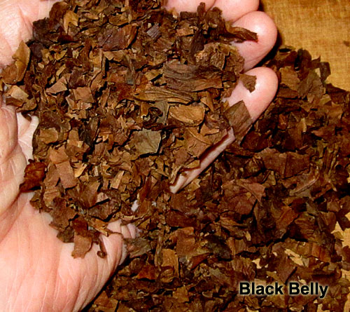 Garden20221014_6701_BlackBelly_pipeBlend_500.jpg