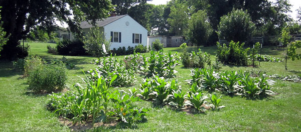 Garden20140712_1328_entireGarden_600.jpg