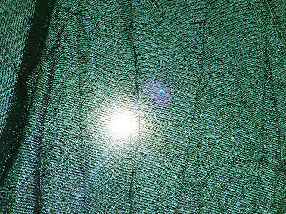 pic-5.png