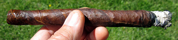 Garden20140503_1150_LittleDutchUpper_stogie_600.jpg