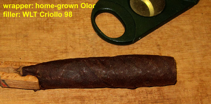 Garden20250923_7682_cigar_home-OlorWrapper_700.jpg