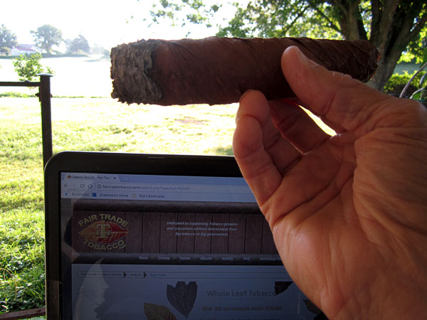 Garden20180708_3638_cigar_sunrise_600.jpg