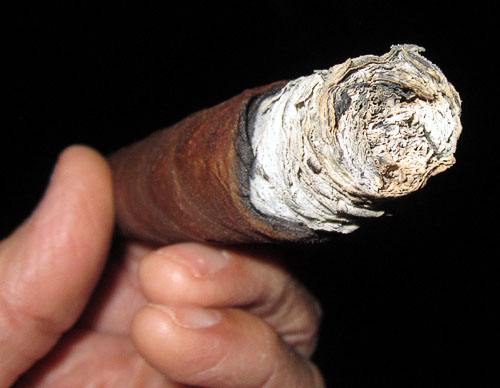Garden20170503_2593_cigar_fireproofH2Kwrapper_ashEnd_500.jpg