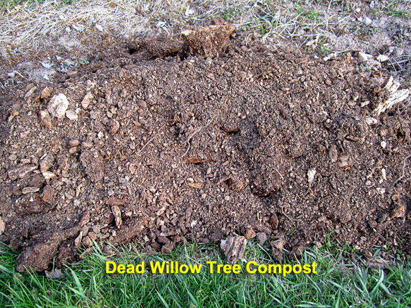 Garden20220415_6328_willowCompost01_600.jpg