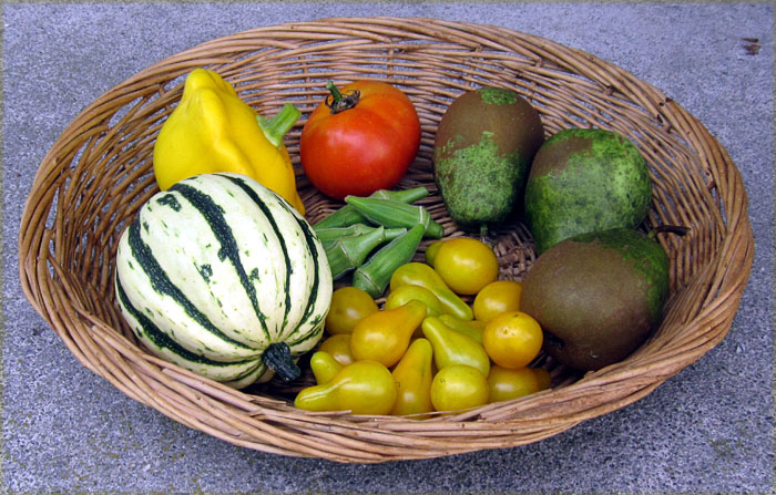 Garden20220814_6624_veggieHarvest_700.jpg