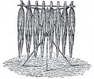 Killebrew_lath02.jpg