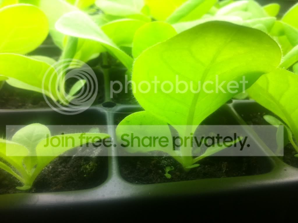 photo-25.jpg
