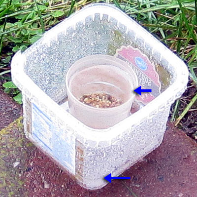 Garden20200520_5120_fertilizer_rainSolubility_36hrs_400.jpg